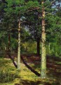 the sun lit pines 1886 classical landscape Ivan Ivanovich trees